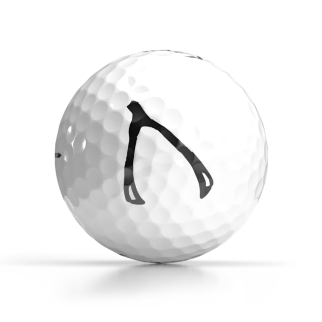 Wishbone Luck - Thanksgiving Day Golf Balls - Shop OnCore Golf