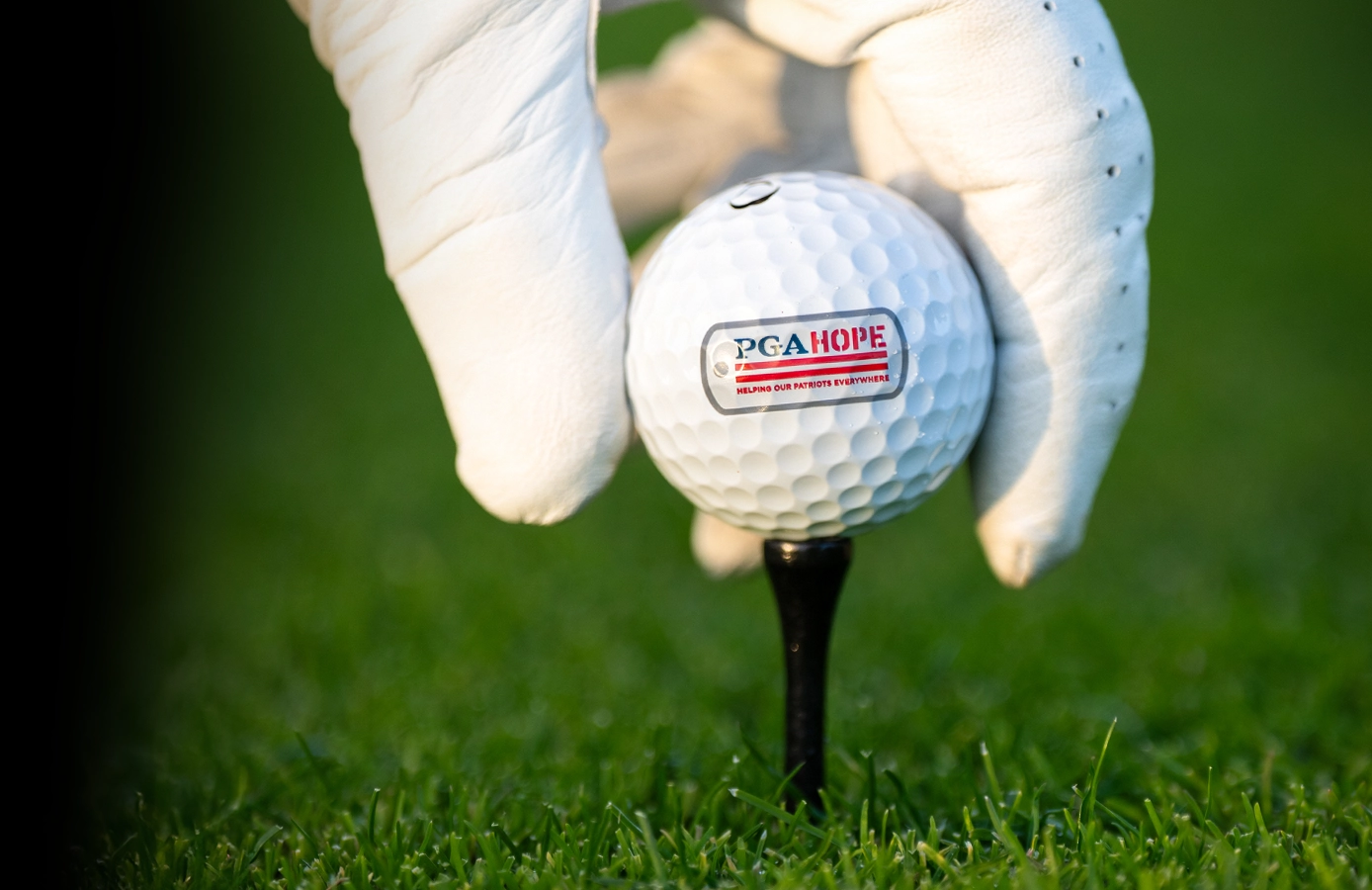 Ambassador Collection